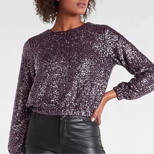 Express Purple Sequin Long Sleeve Banded Bottom Top